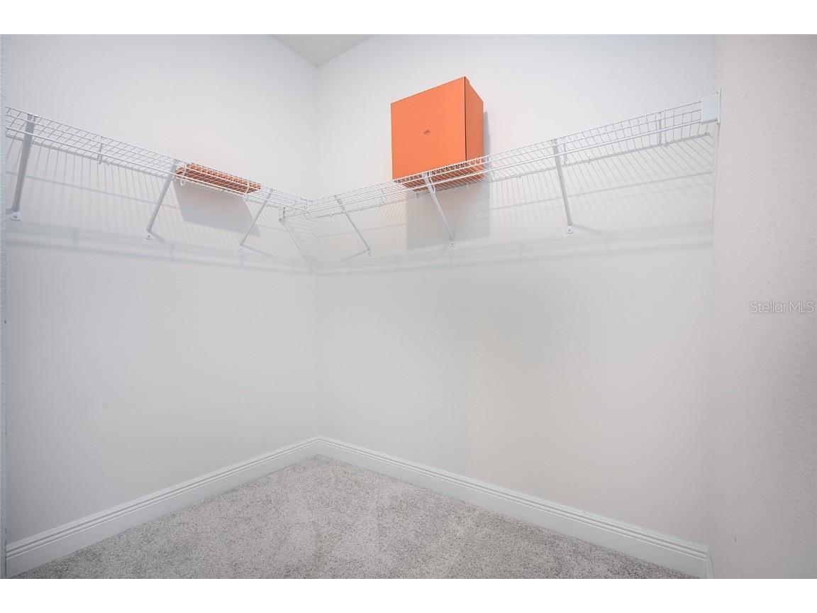 5556 Trevesta Place Palmetto FL 34221 A4672048 image40