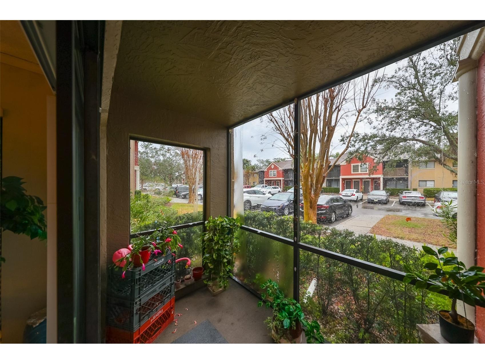 5557 Baywater Drive Tampa FL 33615 TB8342612 image29