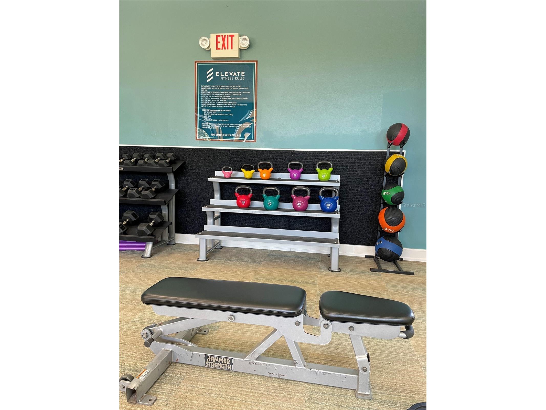 5557 Baywater Drive Tampa FL 33615 TB8342612 image33