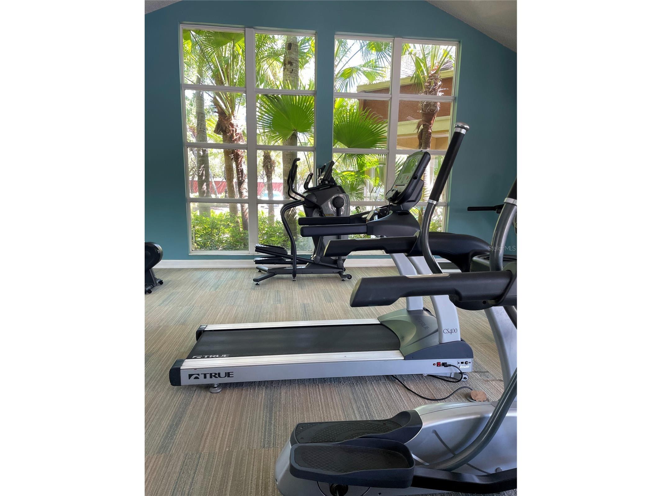 5557 Baywater Drive Tampa FL 33615 TB8342612 image35
