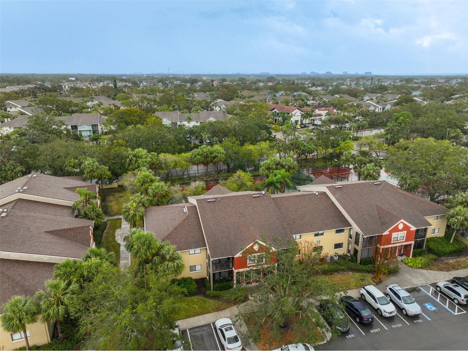 5557 Baywater Drive Tampa FL 33615 TB8342612 image37