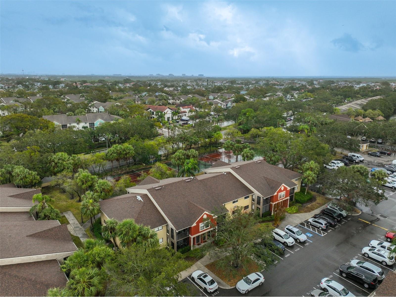 5557 Baywater Drive Tampa FL 33615 TB8342612 image39