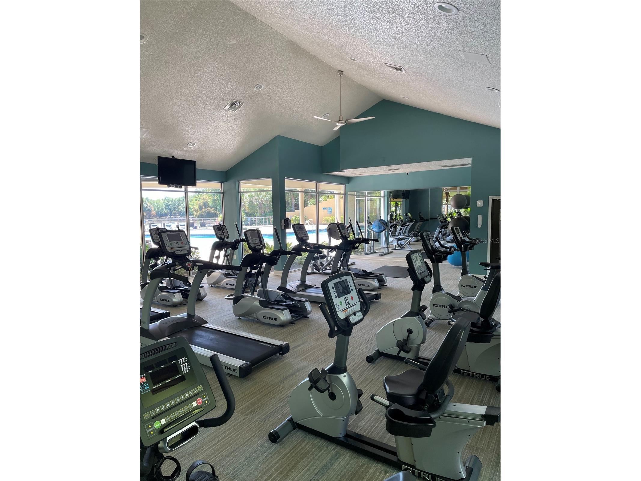 5557 Baywater Drive Tampa FL 33615 TB8342612 image43