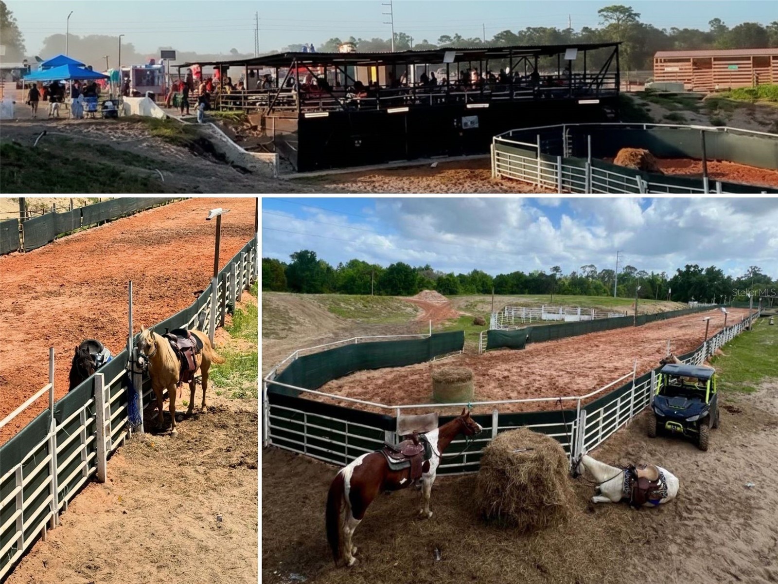 5557 E Hinson Avenue Haines City FL 33844 O6381458 image3