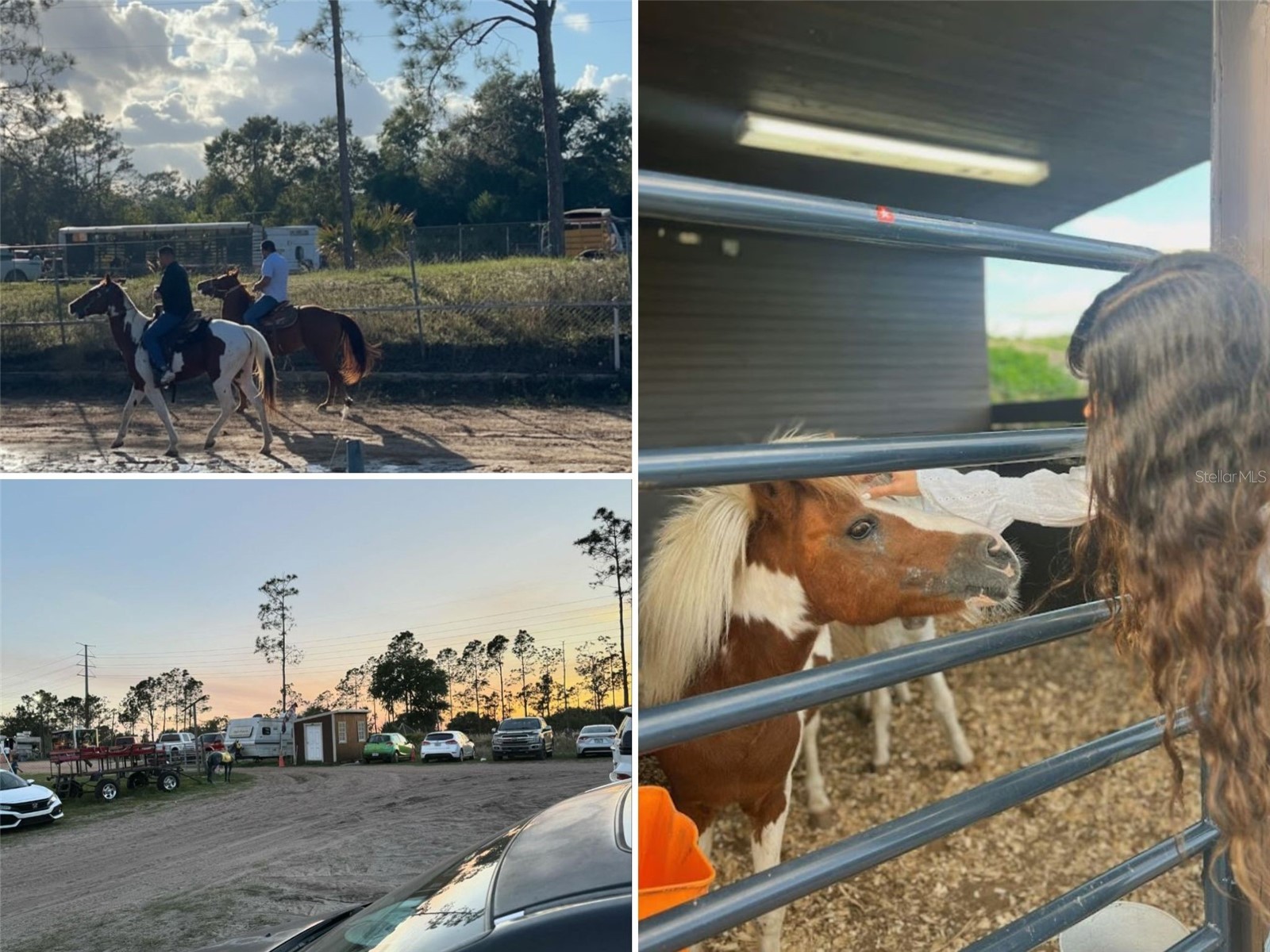 5557 E Hinson Avenue Haines City FL 33844 O6381458 image6