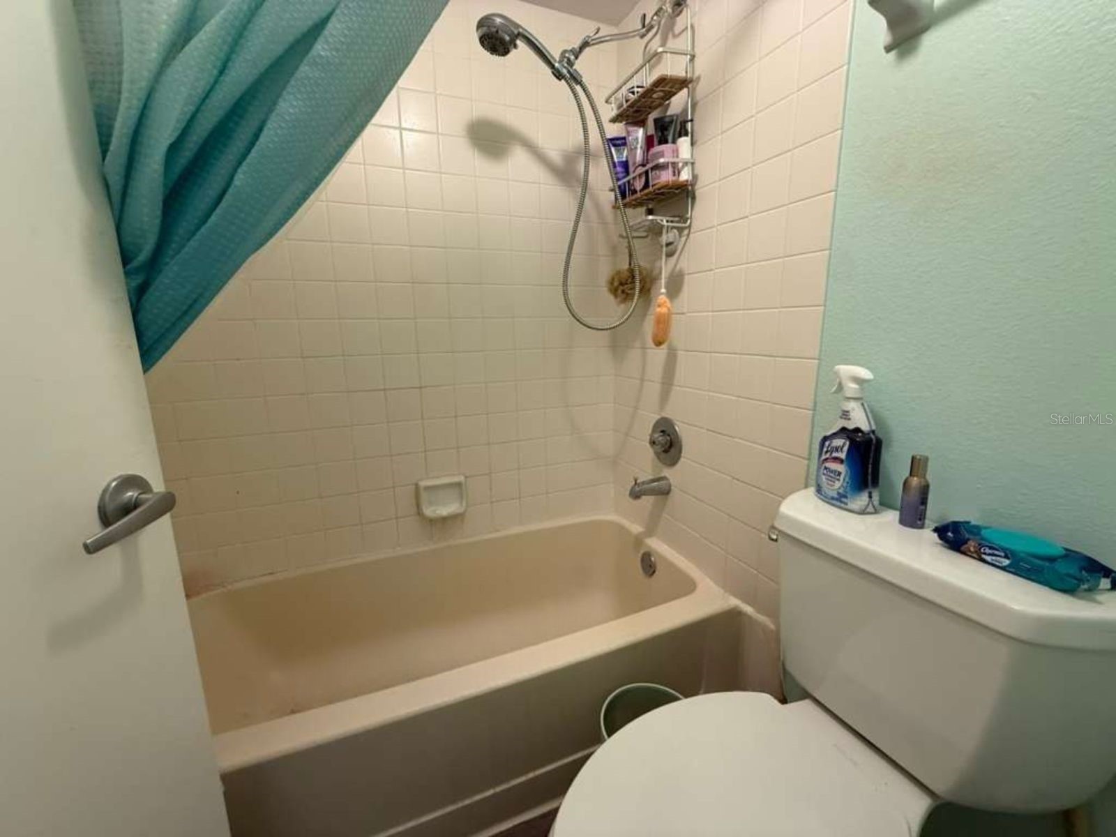 5557 Sea Forest Drive #114 New Port Richey FL 34652 TB8462090 image11