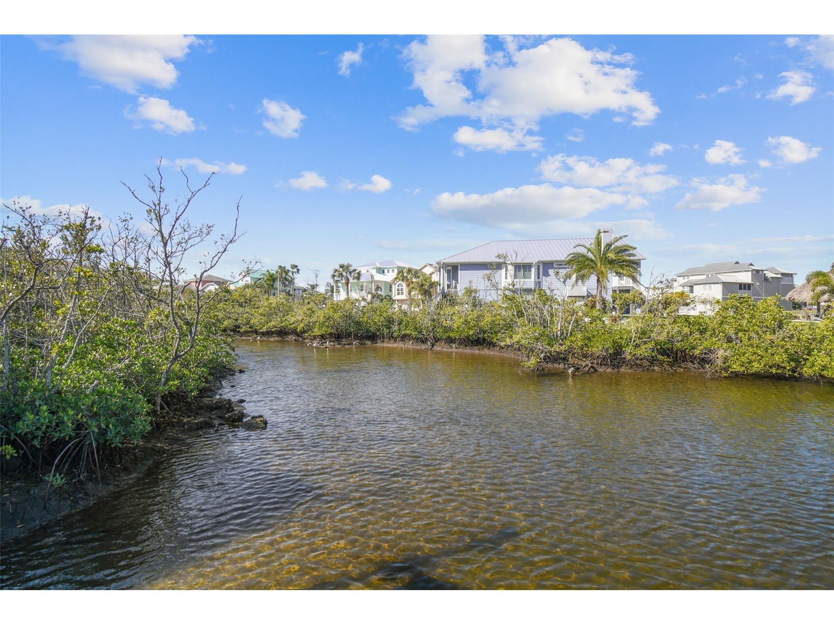 5557 Sea Forest Drive #214 New Port Richey FL 34652 TB8478652 image47