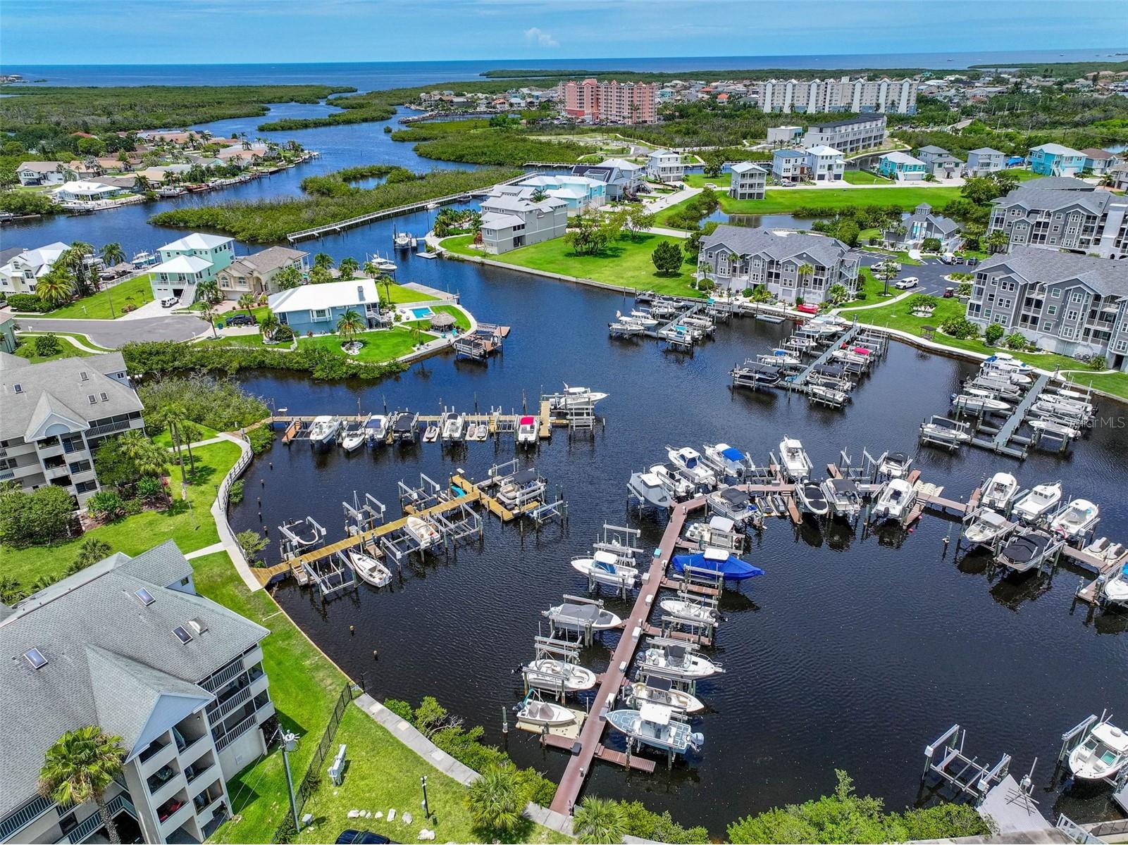 5557 Sea Forest Drive #215 New Port Richey FL 34652 TB8495061 image32