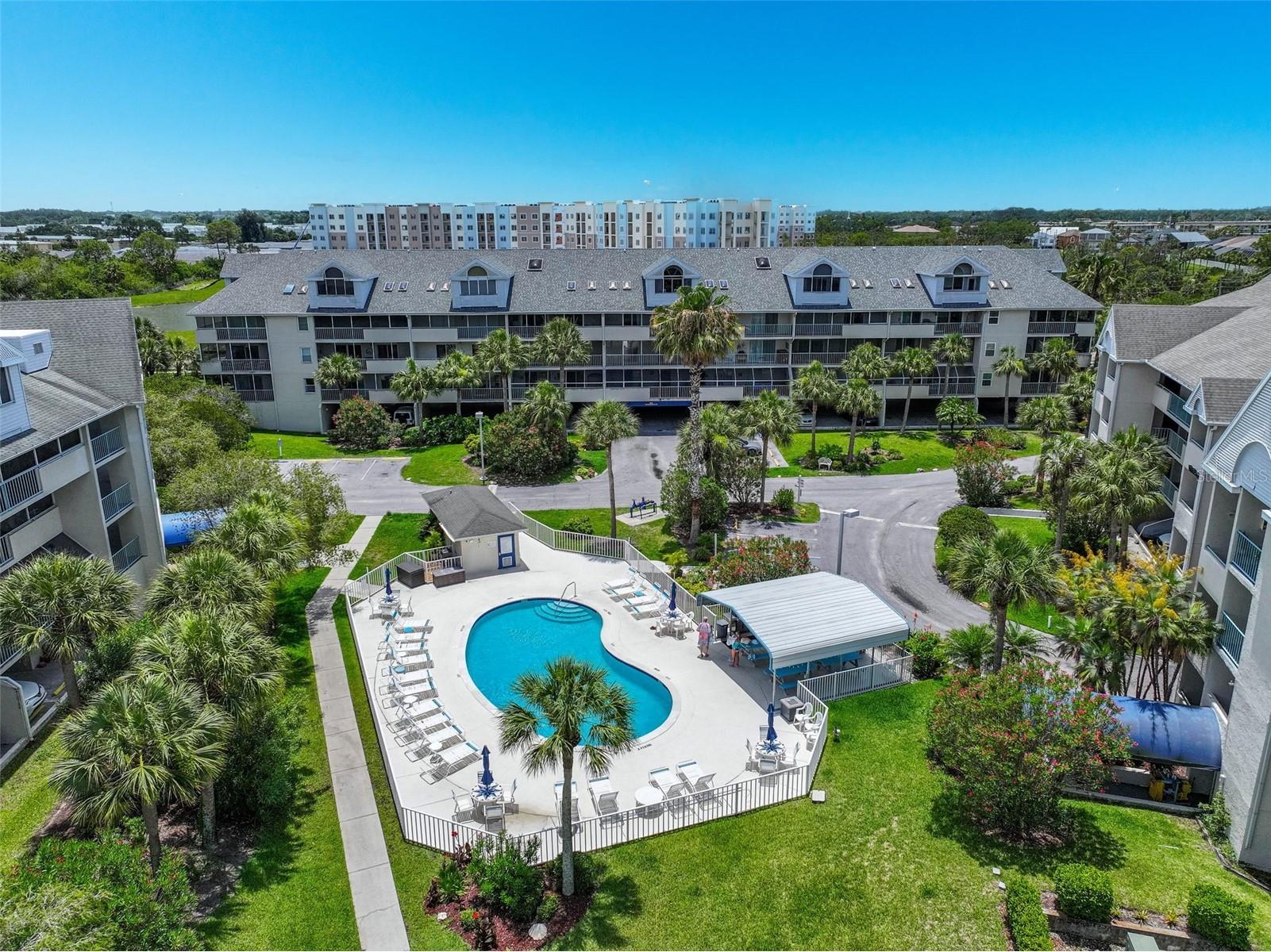 5557 Sea Forest Drive #215 New Port Richey FL 34652 TB8495061 image35