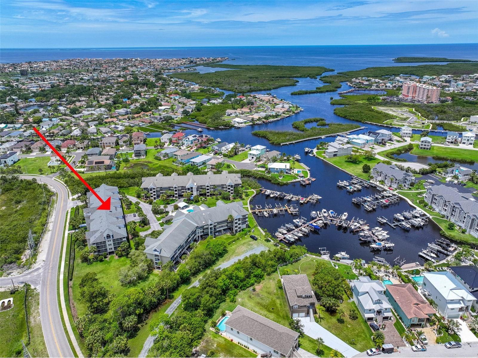 5557 Sea Forest Drive #215 New Port Richey FL 34652 TB8509535 image33