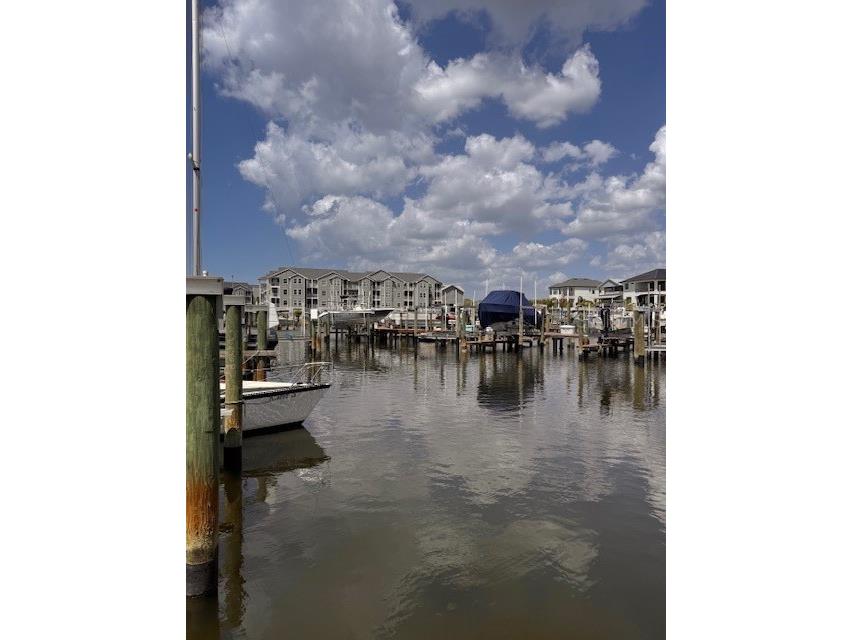 5557 Sea Forest Drive #216 New Port Richey FL 34652 TB8371481 image27