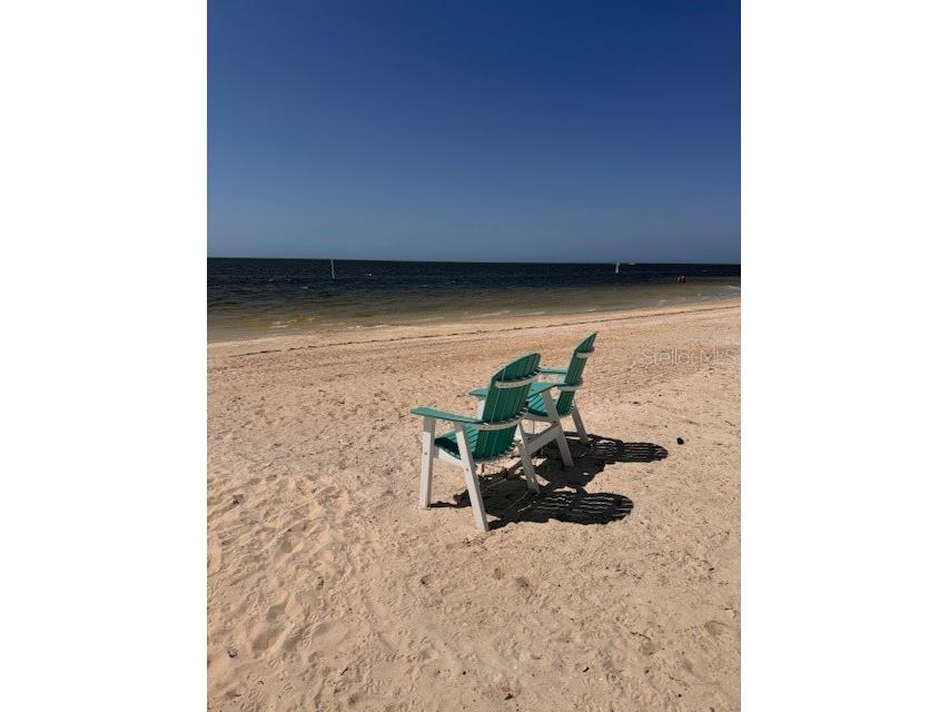 5557 Sea Forest Drive #216 New Port Richey FL 34652 TB8371481 image31