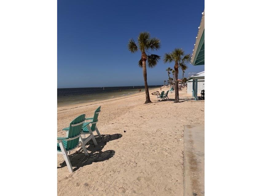 5557 Sea Forest Drive #216 New Port Richey FL 34652 TB8371481 image32