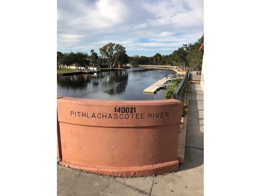 5557 Sea Forest Drive #216 New Port Richey FL 34652 TB8371481 image33