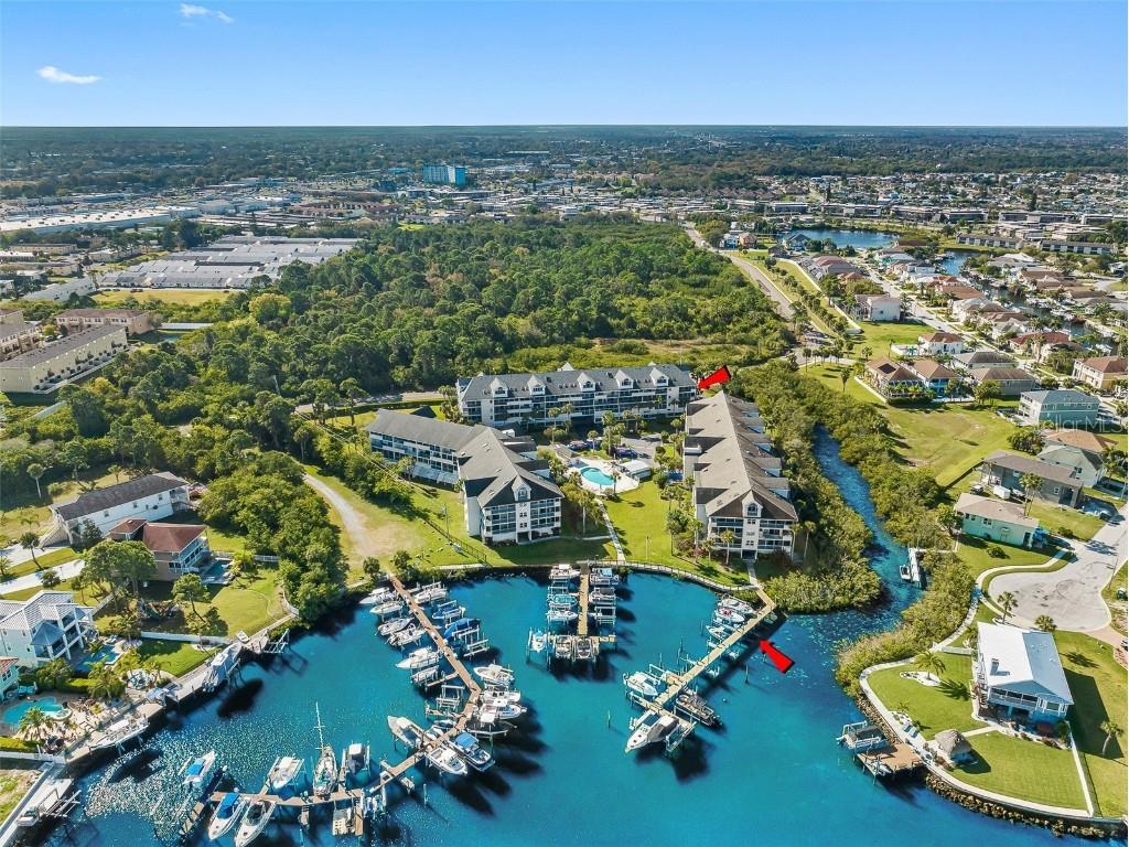 5557 Sea Forest Drive #310 New Port Richey FL 34652 - GULF OF MEXICO U8191576 image1