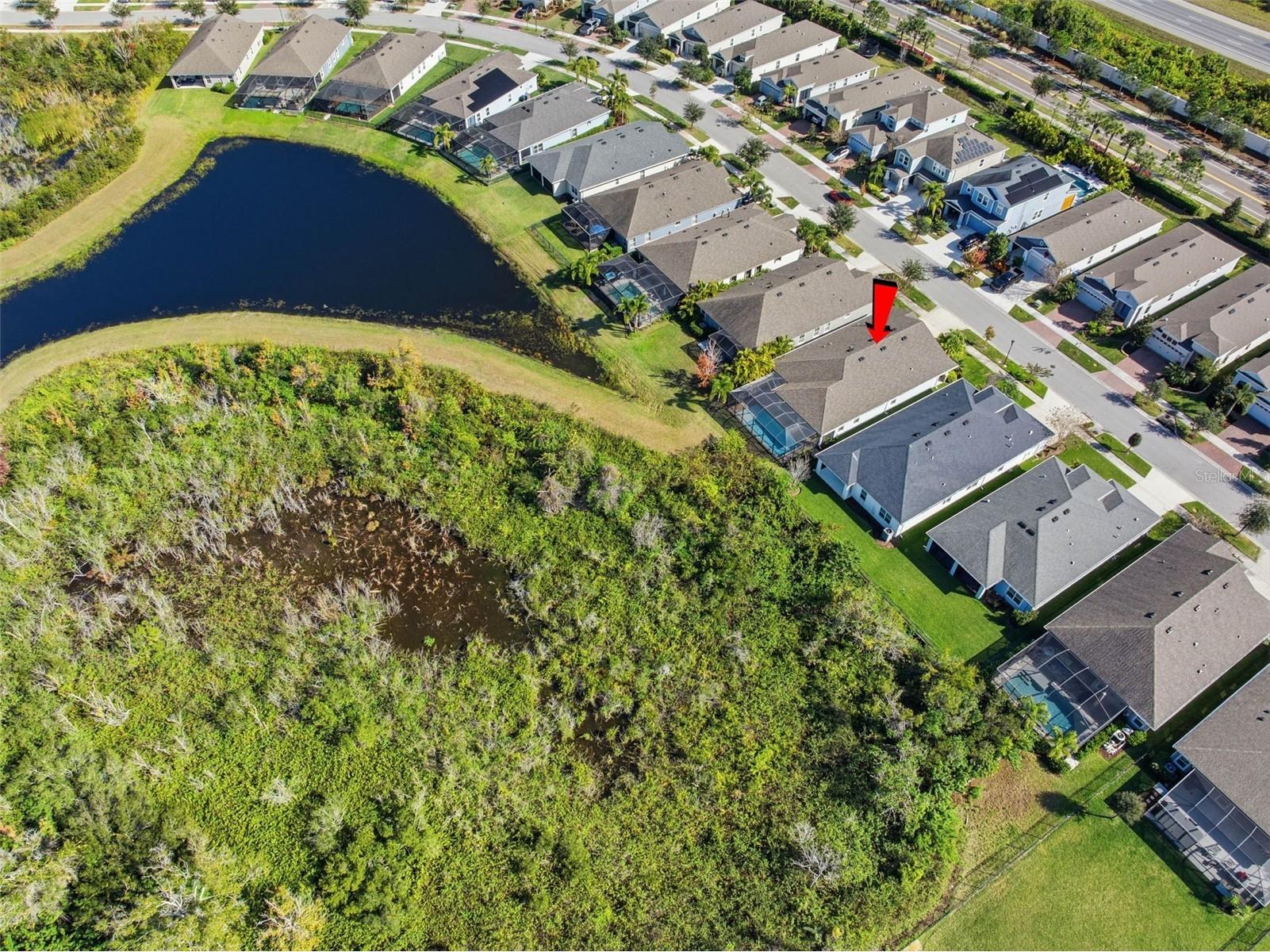 5557 Silver Sun Drive Apollo Beach FL 33572 TB8461997 image41