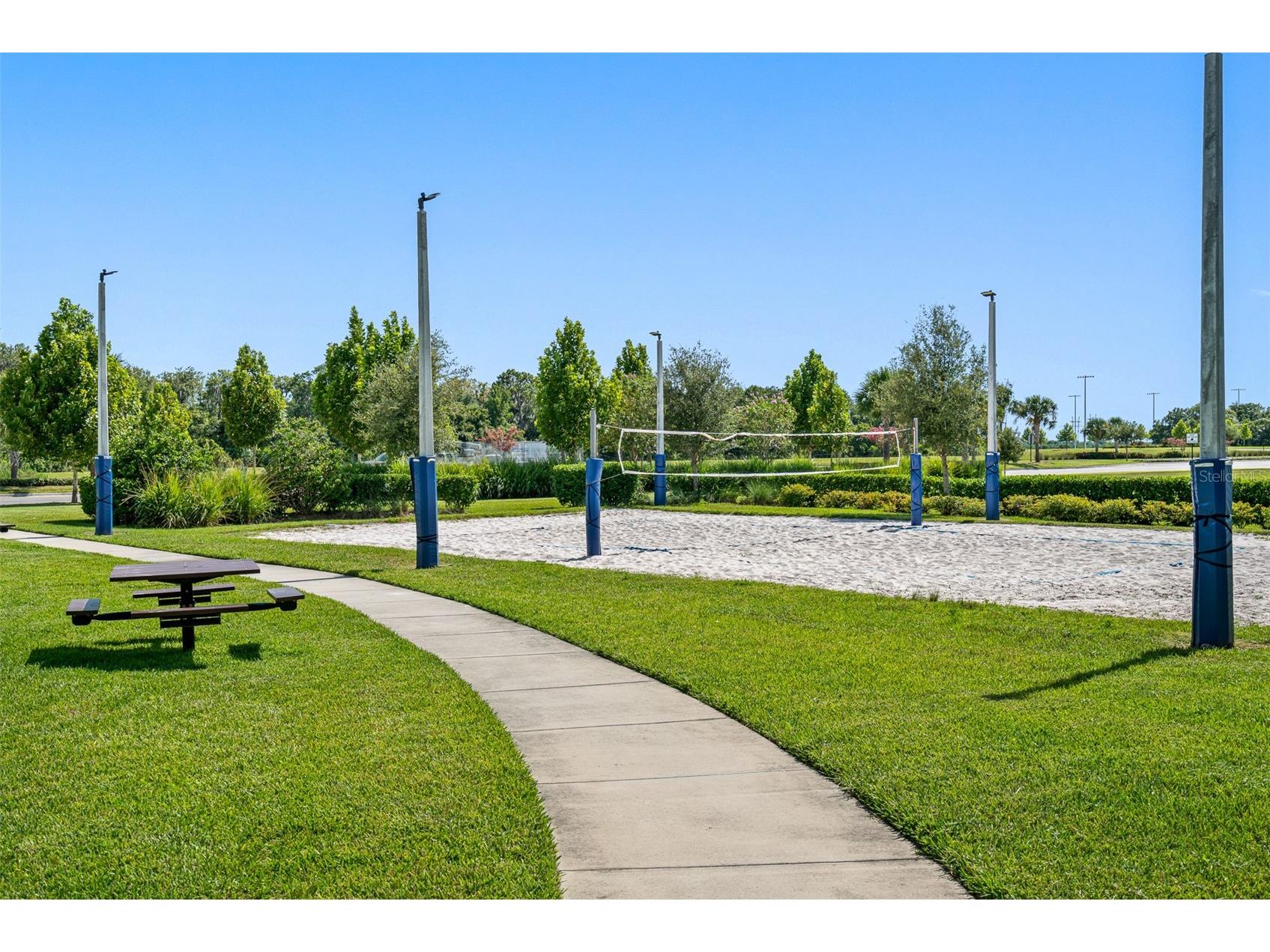 5557 Silver Sun Drive Apollo Beach FL 33572 TB8461997 image49