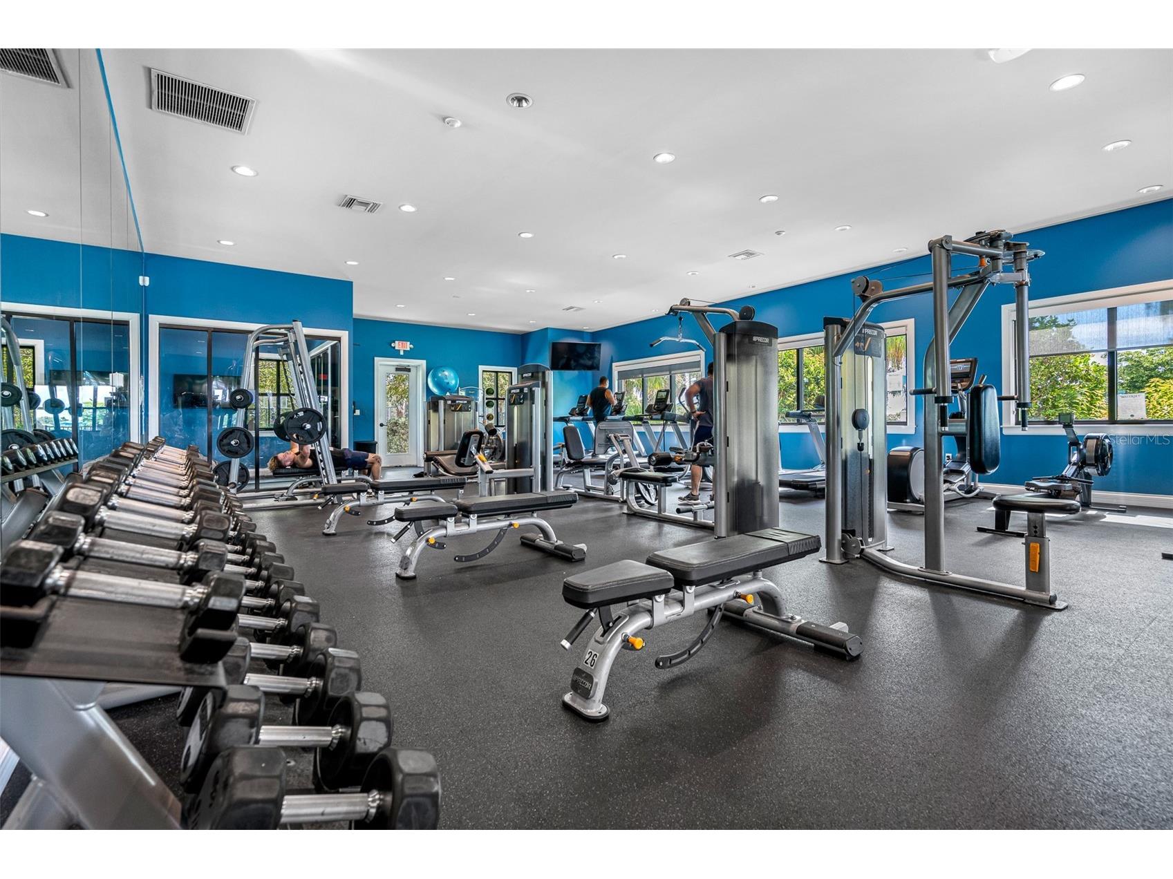 5557 Silver Sun Drive Apollo Beach FL 33572 TB8461997 image50