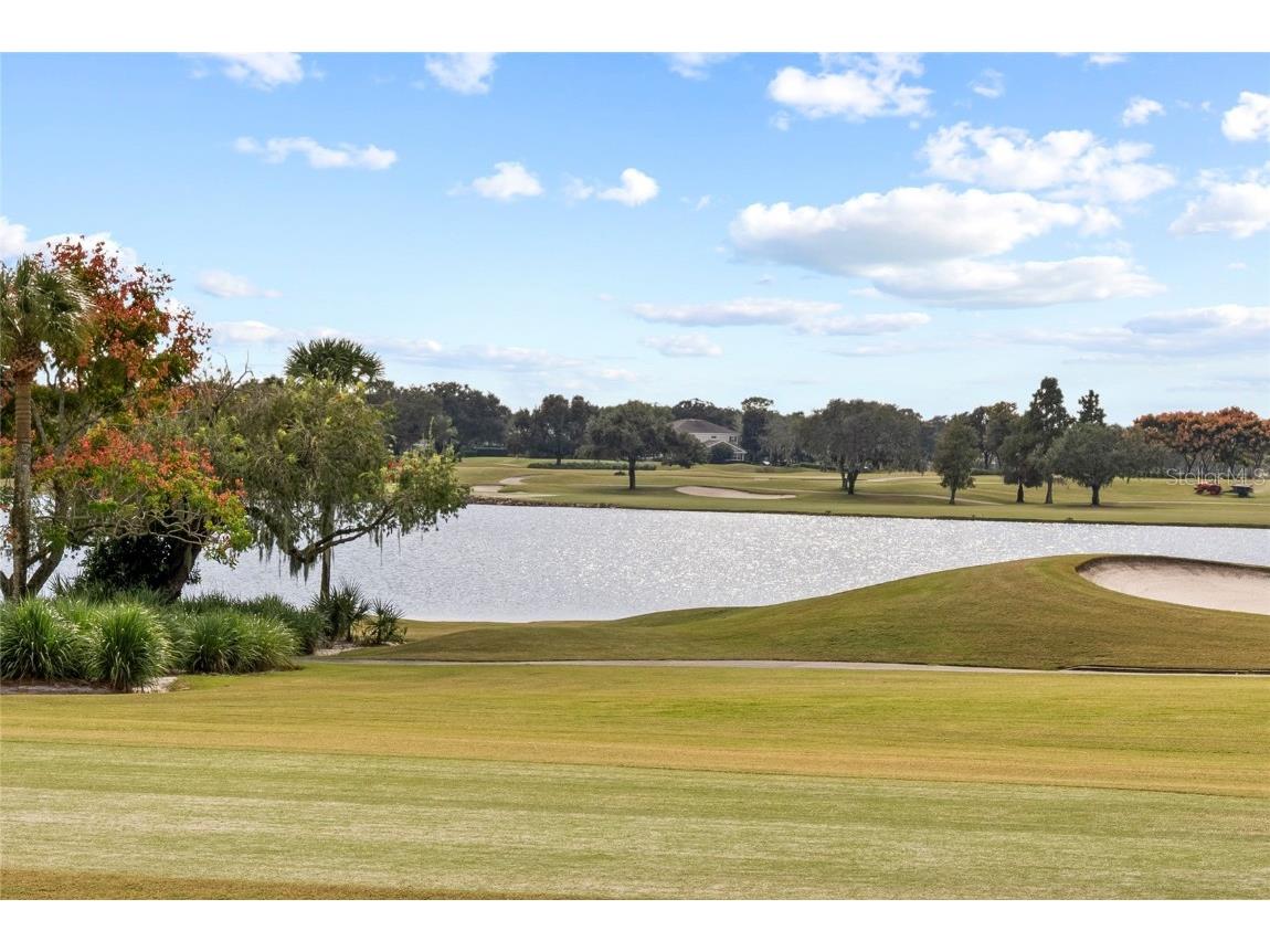 5558 Brookline Drive Orlando FL 32819 O6358772 image25