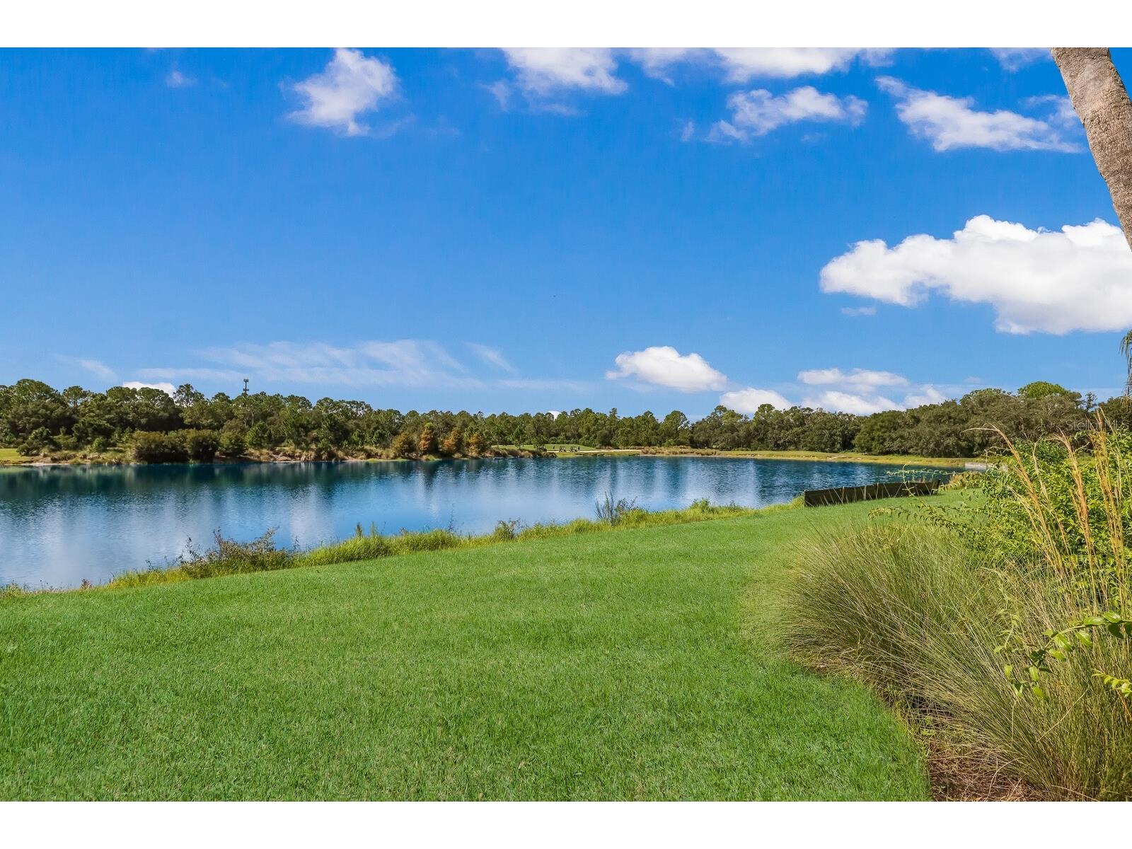 5558 Palmer Circle #105 Bradenton FL 34211 A4691733 image27