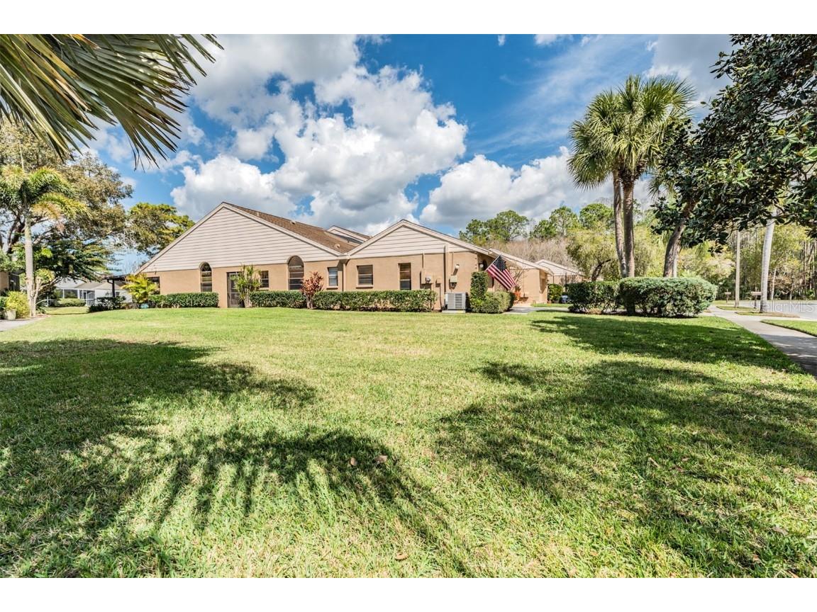 5559 Salem Square Drive N Palm Harbor FL 34685 U8153870 image1
