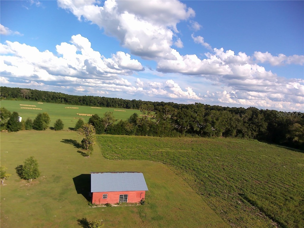 5559 SW 42nd Place Bell FL 32619 W7879221 image14