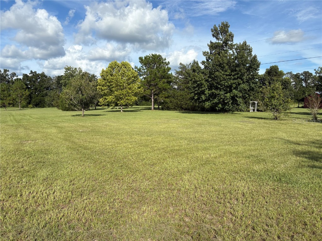 5559 SW 42nd Place Bell FL 32619 W7879221 image17