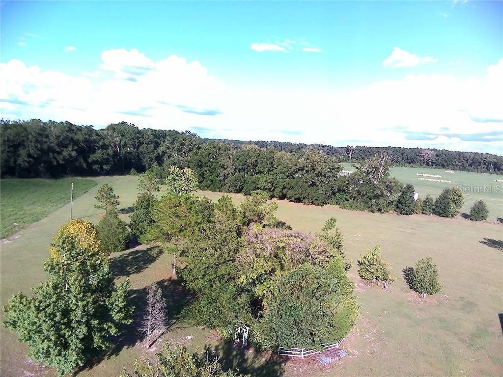 5559 SW 42nd Place Bell FL 32619 W7879221 image20