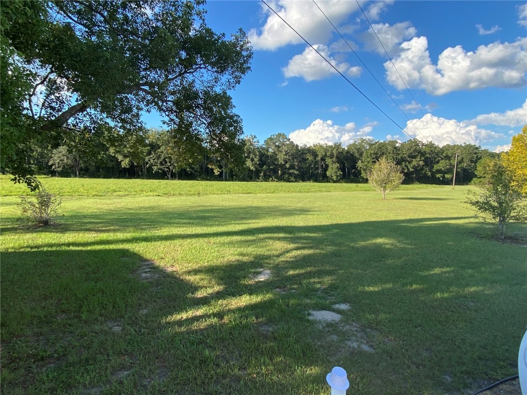 5559 SW 42nd Place Bell FL 32619 W7879221 image21