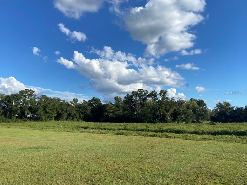 5559 SW 42nd Place Bell FL 32619 W7879221 image22