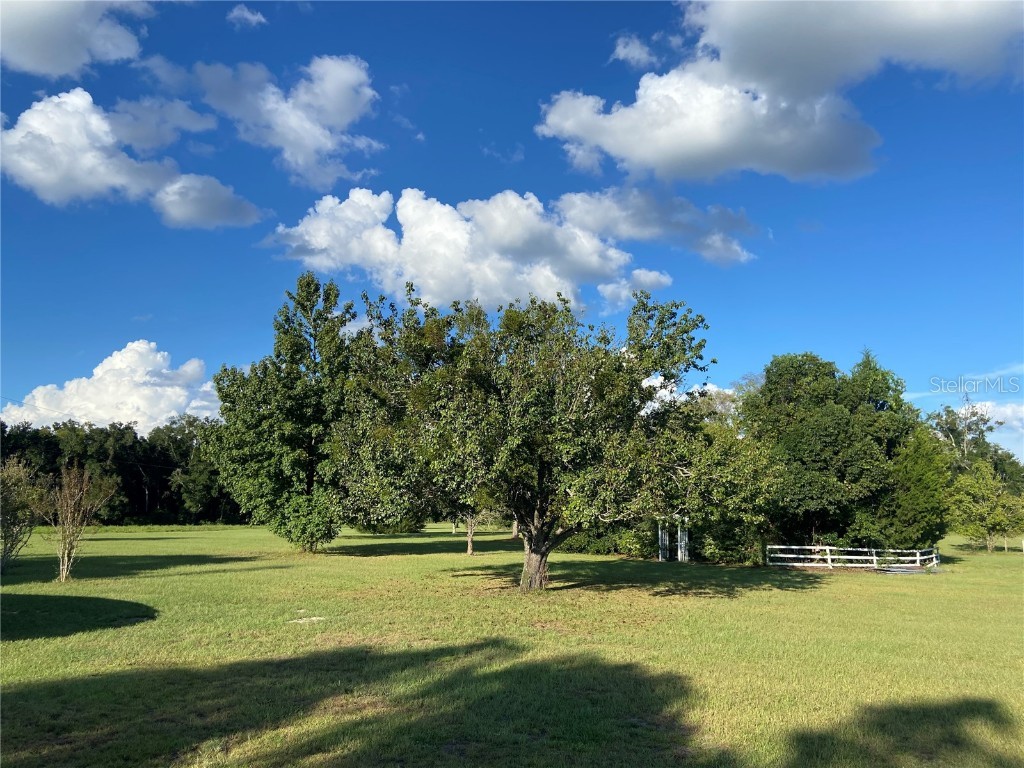 5559 SW 42nd Place Bell FL 32619 W7879221 image23