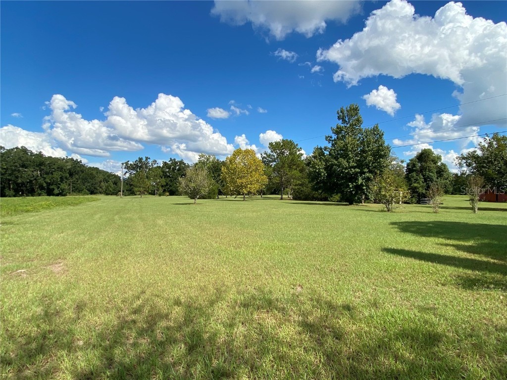 5559 SW 42nd Place Bell FL 32619 W7879221 image25