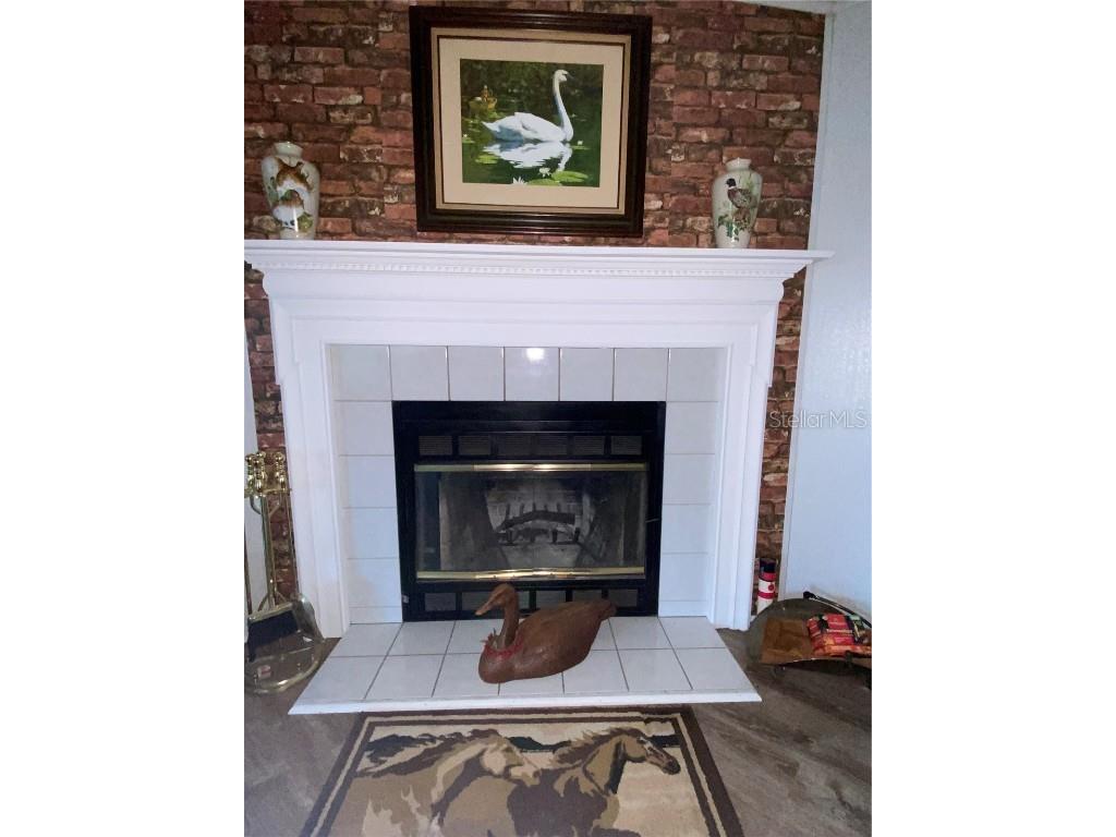 5559 SW 42nd Place Bell FL 32619 W7879221 image3