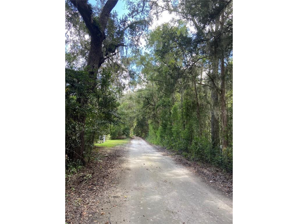 5559 SW 42nd Place Bell FL 32619 W7879221 image9