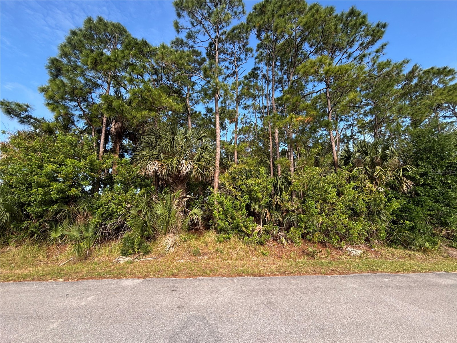 556 Burlington Avenue NE Palm Bay FL 32907 S5148667 image1