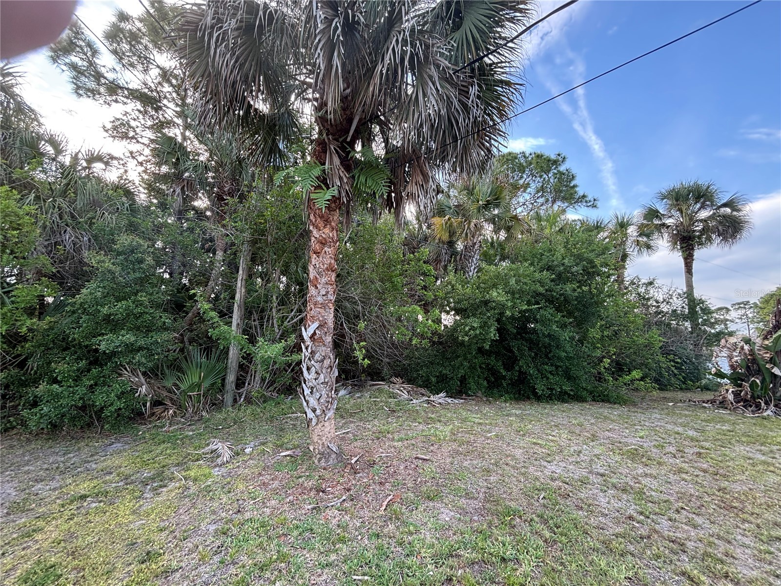 556 Burlington Avenue NE Palm Bay FL 32907 S5148667 image5