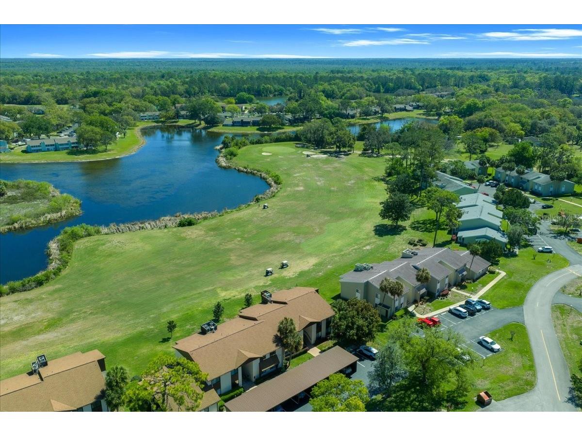 556 Fairways Circle #B Ocala FL 34472 OM721192 image55