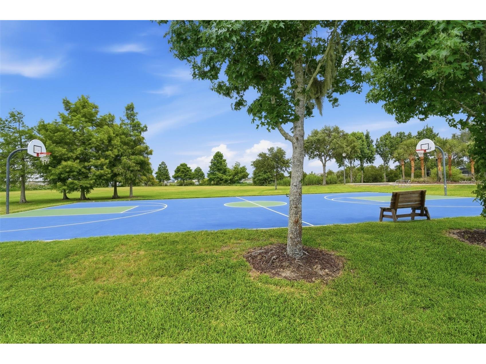 556 Juniper Springs Drive Groveland FL 34736 G5113703 image30