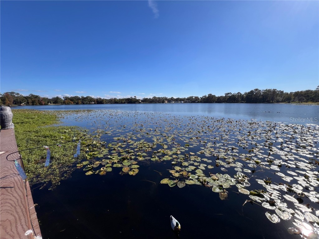 556 Lake Wildmere Cove Longwood FL 32750 O6262589 image50