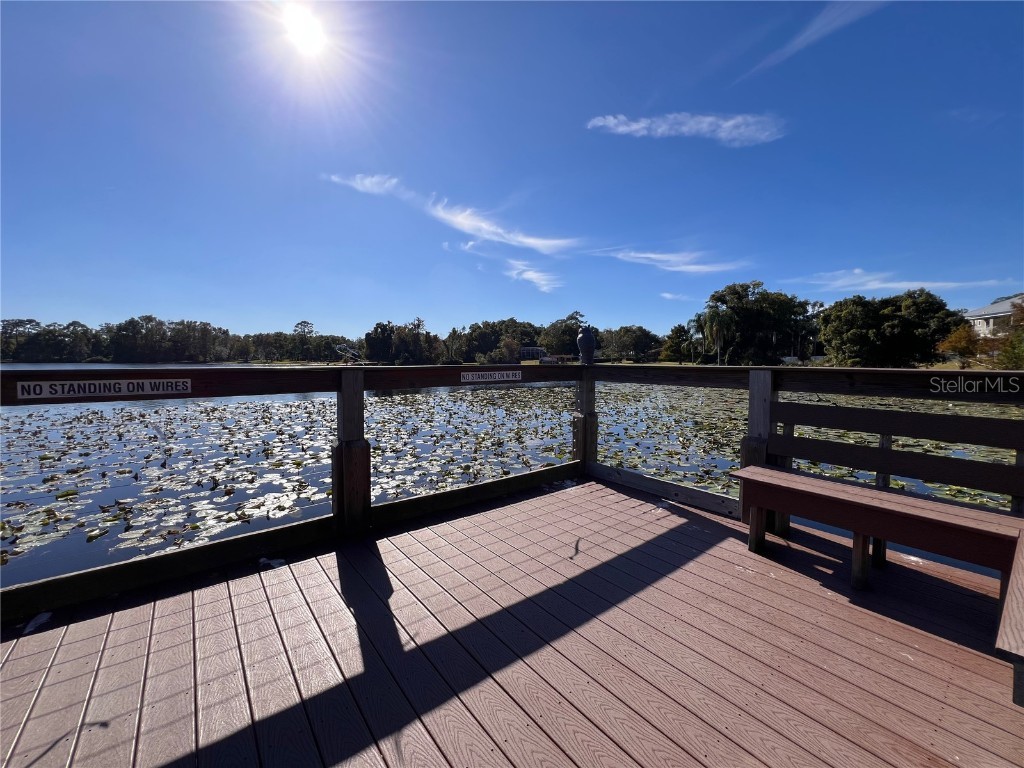 556 Lake Wildmere Cove Longwood FL 32750 O6262589 image51