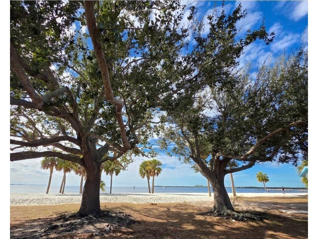 556 Mimosa Avenue NW Port Charlotte FL 33952 A4680698 image74