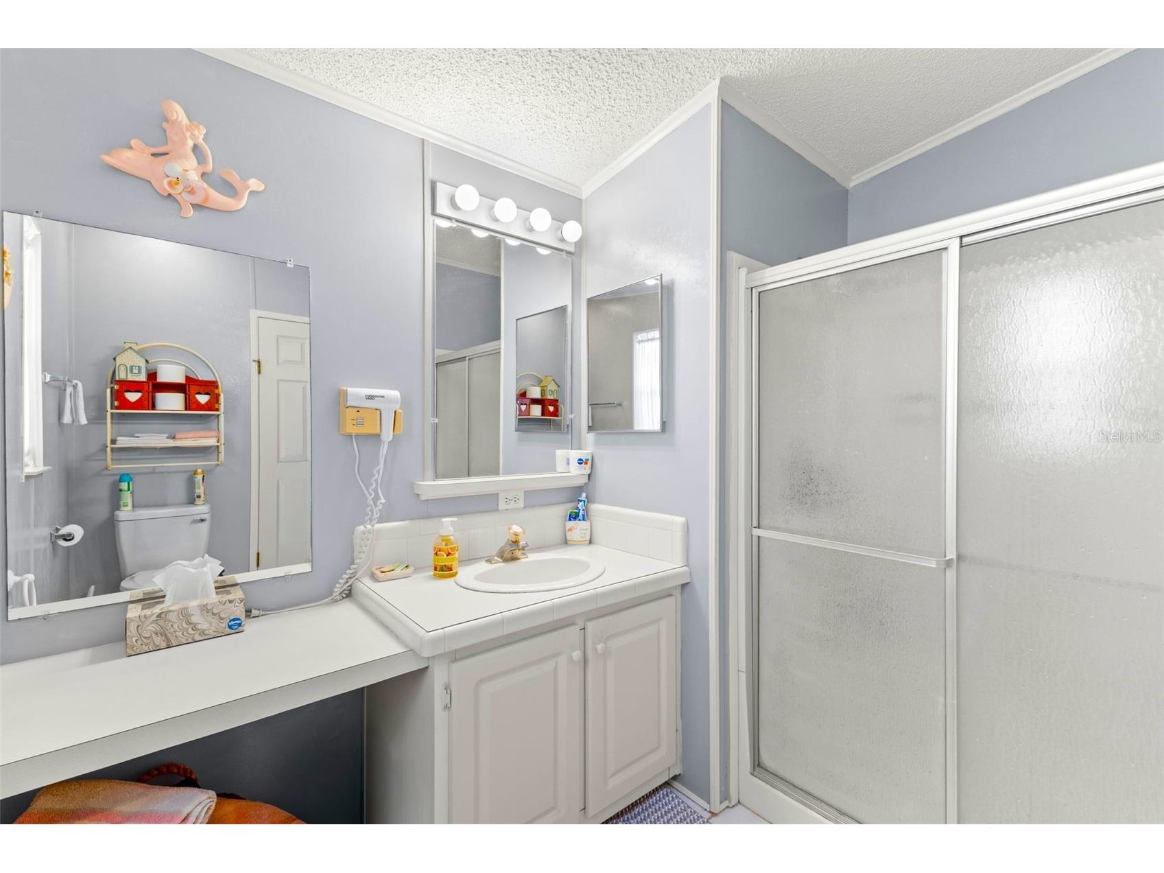 556 Mount Oak Avenue NE #738 Saint Petersburg FL 33702 - TAMPA BAY TB8519300 image22