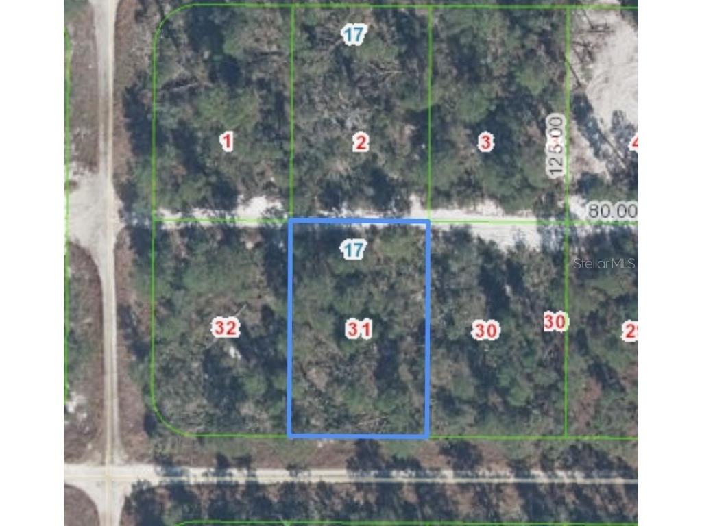 556 Parakeet Avenue Sebring FL 33872 P4936186 image1
