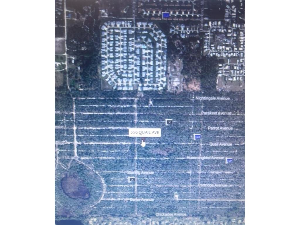 556 Quail Avenue Sebring FL 33870 O6366382 image1