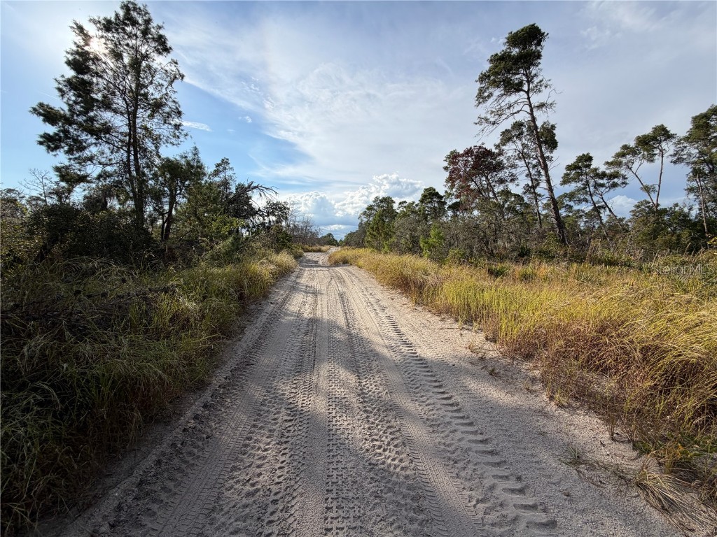 556 Quail Avenue Sebring FL 33870 O6366382 image3