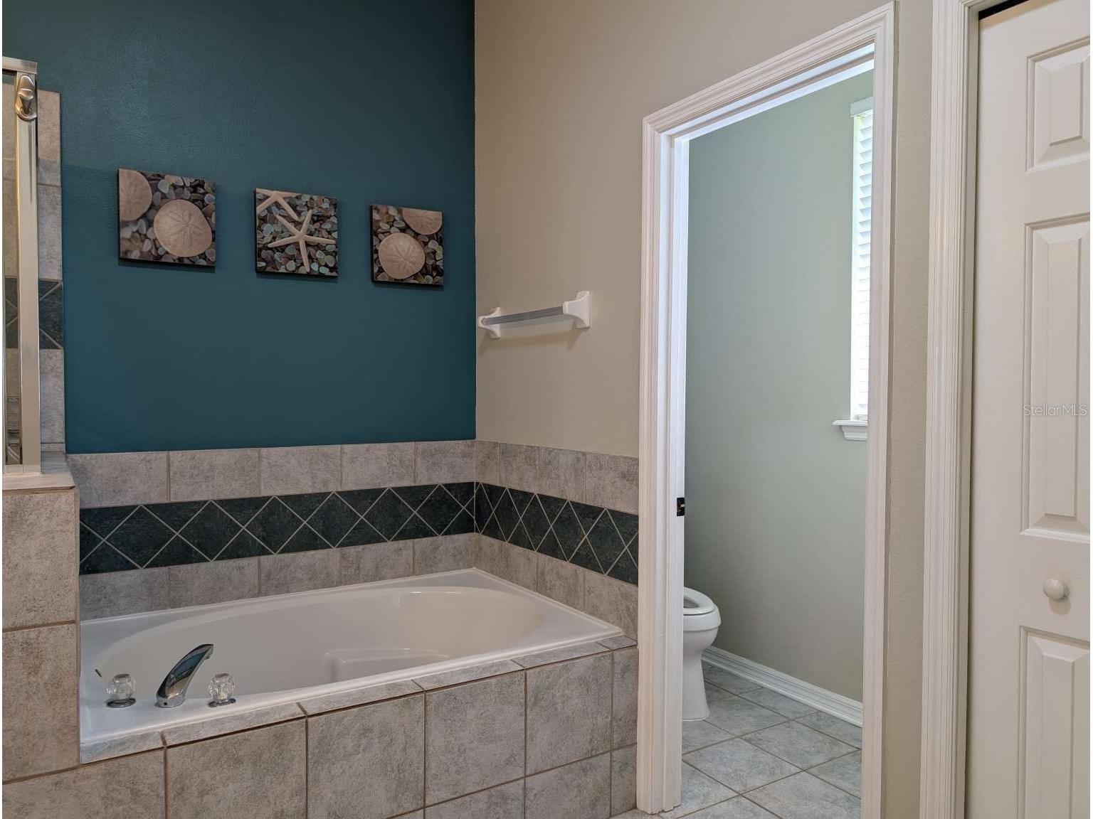 556 Summerwood Drive Minneola FL 34715 - LAKE MINNEOLA TB8494358 image16