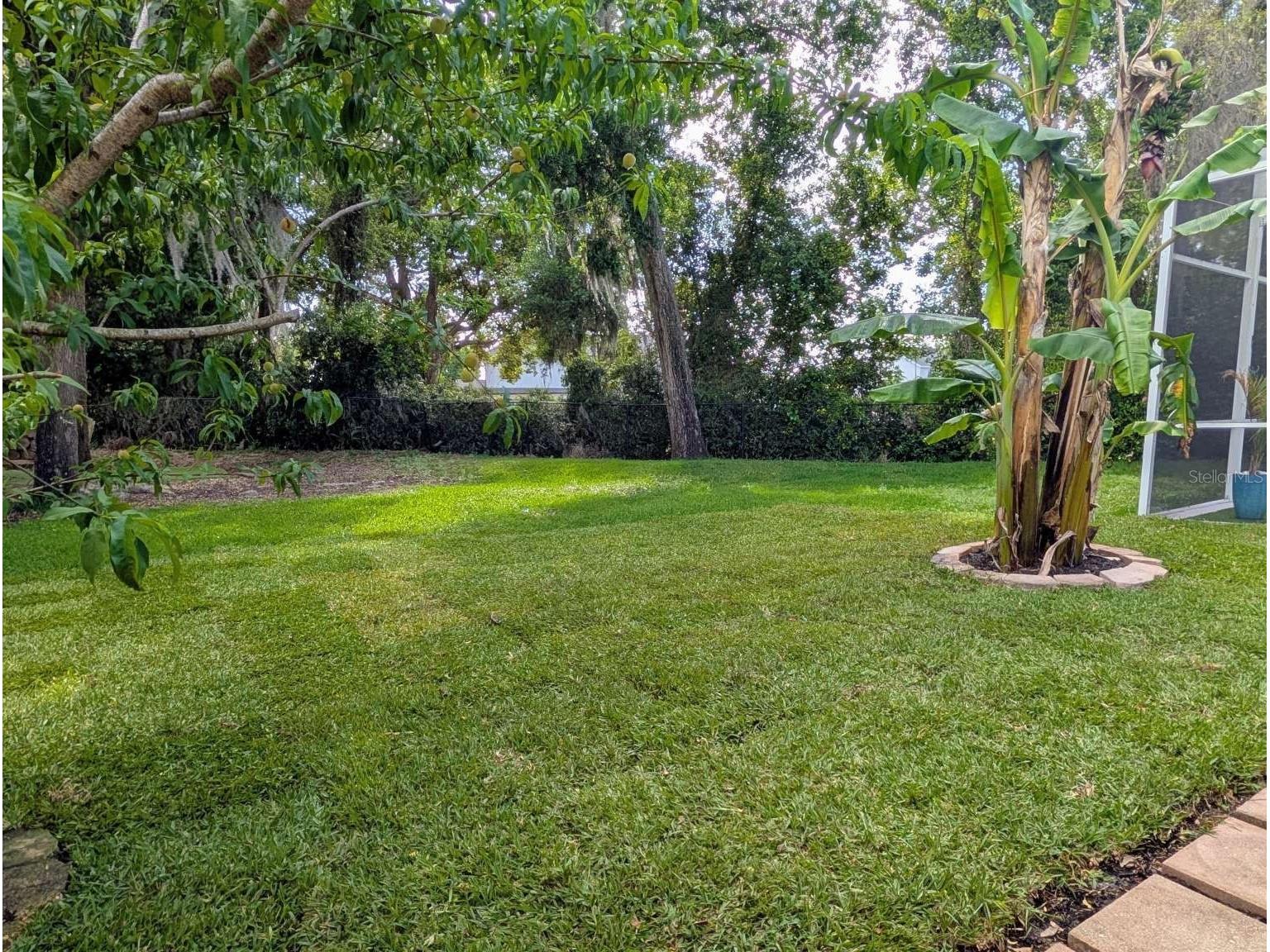 556 Summerwood Drive Minneola FL 34715 - LAKE MINNEOLA TB8494358 image29