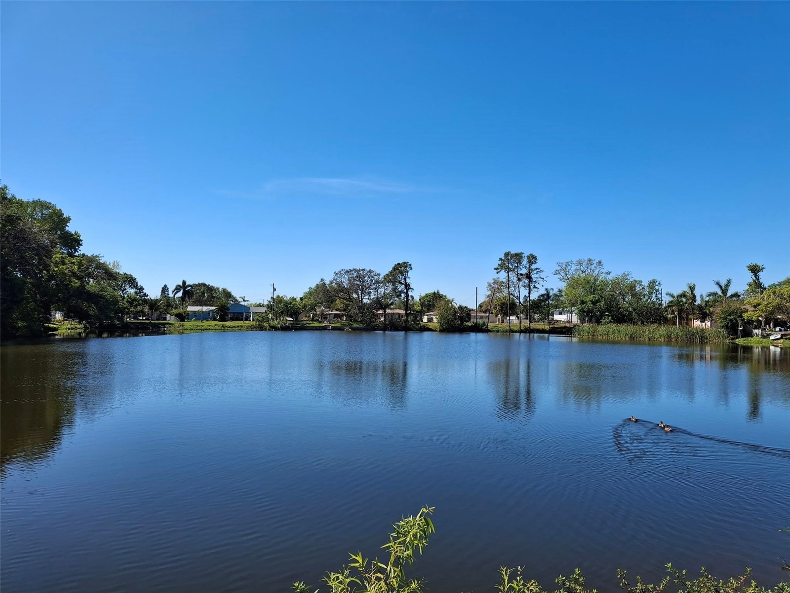 5560 61st Street N Saint Petersburg FL 33709 TB8532710 image33