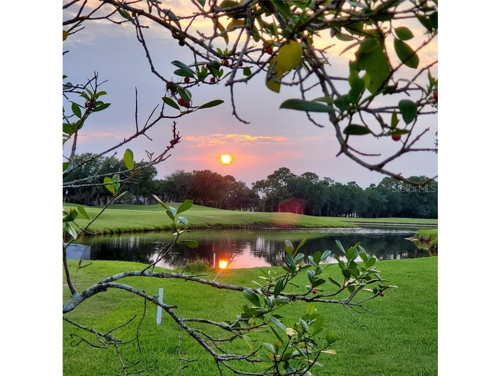 5560 Club View Lane North Port FL 34287 D6140257 image44