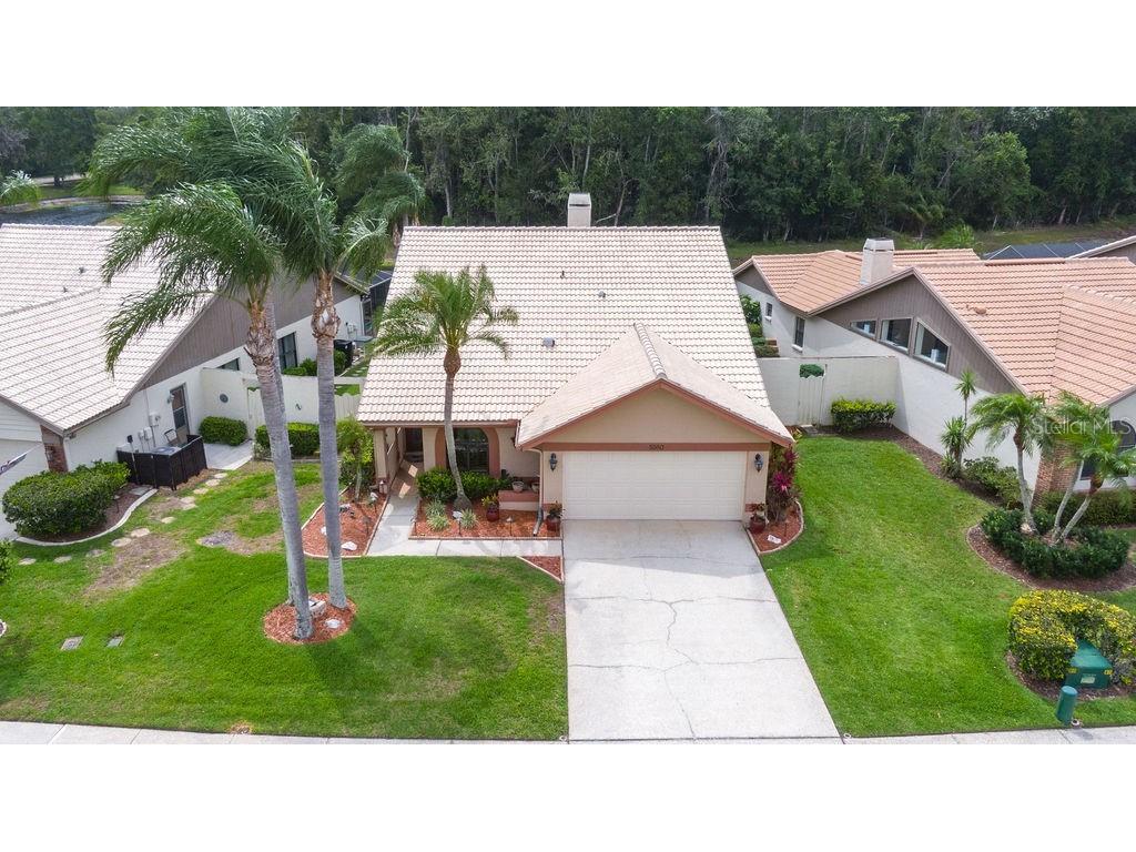 5560 Greyston Street Palm Harbor FL 34685 T3453634 image1
